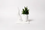 Pianta grassa succulent vera in vasetto con corno alto di ceramica Made in Italy su base con muschio vero stabilizzato