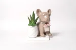 Pianta grassa succulent vera in vasetto con dog di ceramica Made in Italy su base con muschio vero stabilizzato con astuccio da confezione: l’oggetto di ceramica è progettato, realizzato e smaltato interamente a mano da maestri artigiani italiani.